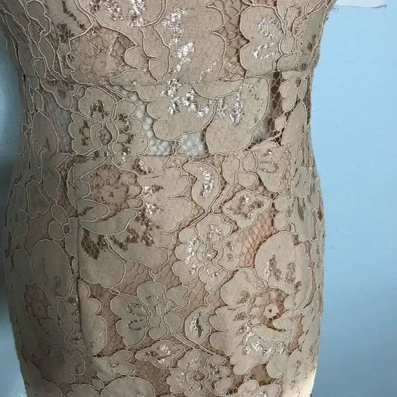 Beautiful NWT NSR Dress - Picture 11 of 14